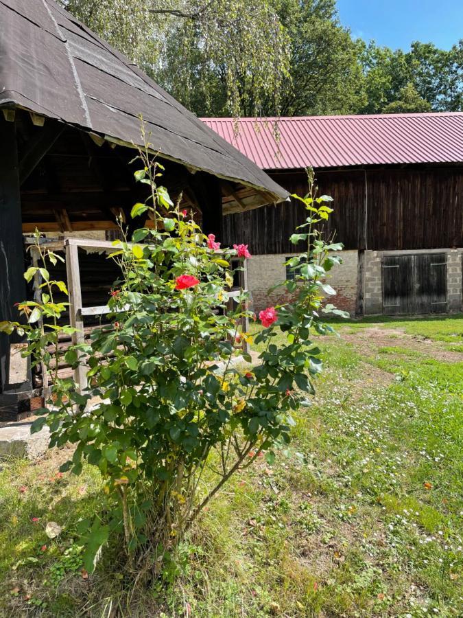 Апартаменты Schellnhof Forsthaus Am Waldrand Nidda Экстерьер фото